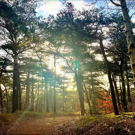 בית נופש Heerlijk In *