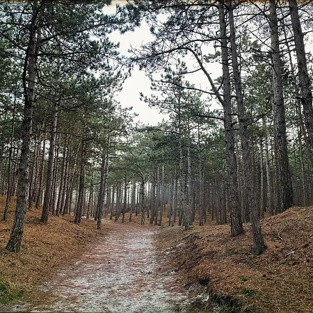 Heerlijk In Σπίτι διακοπών *