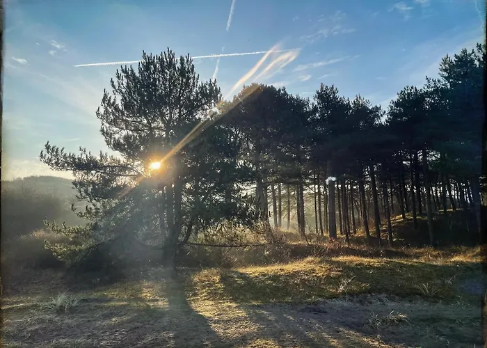 Ferienhaus Heerlijk In *