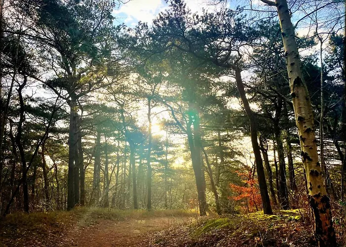 Ferienhaus Heerlijk In *